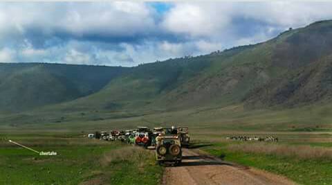 6 DAYS 5 NGHTS ARUSHA- LAKE MANYARA-SERENGETI-NGORONGORO TANZANIA TRIP.